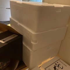 発泡スチロール・クーラーボックス・保冷箱・保冷剤の画像