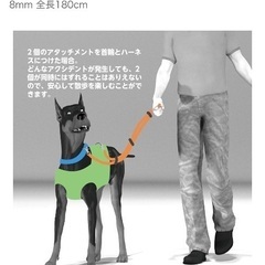 【無料】愛犬用ダブルリードの画像