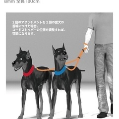 【無料】愛犬用ダブルリードの画像