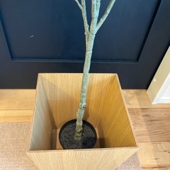 オリーブの木(フェイクグリーン)の画像