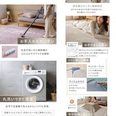 ラグマット200×300の画像