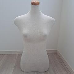 トルソー　マネキン　本体のみの画像