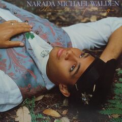 80s　洋楽レコードセット　ソウル「ヤーブロウ＆ピープルズ/ライオネル・リッチー/スティーヴィー・ウッズ/ナーラダ」の画像