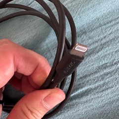 iPhone 充電用　Lighting to USB-C ケーブルの画像