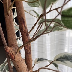 観葉植物 フェイクグリーン🌿.∘の画像