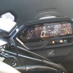 HONDA CB200X 赤 エンジン始動確認 自賠責保険で乗れます 半額配送キャンペーン 期間限定 現状渡し諸経費￥0- 横浜 P-Yardの画像