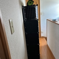 マルチラック(元シューズラック)+ヨガマットの画像