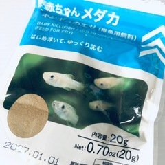 【受付中❗️】シーモンキー一式★砂利、エサ、水槽、卵セット★ いつでもお渡し可能です⭕️の画像