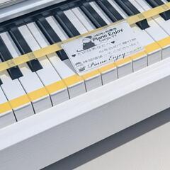 送料込み YAMAHA 電子ピアノ YDP-143 17年購入激可愛い♥激美品 ①
大阪販売支店取扱商品
★京都南〜福知山
🏯東は→姫路〜大阪〜福知山
🍑西は→姫路〜鳥取市〜兵庫〜岡山まで配達無料 ★ジモティーが一番安い！
★ジモティーは設置までお手伝い
【簡単設置】の画像