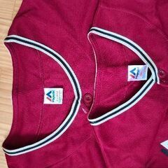 楽天イーグルス 応援ユニフォームの画像
