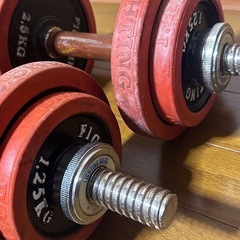 ダンベル 約10kg ×2  ファイティングロードの画像