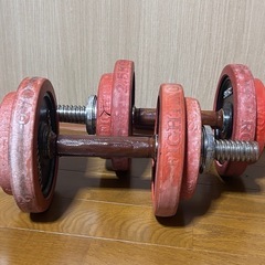 ダンベル 約10kg ×2  ファイティングロードの画像