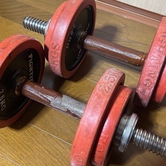 ダンベル 約10kg ×2  ファイティングロードの画像