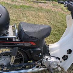 スズキバーディー50の画像
