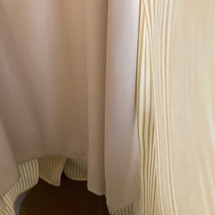 rpsワンピースの画像