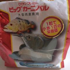タイガーオスカーの画像