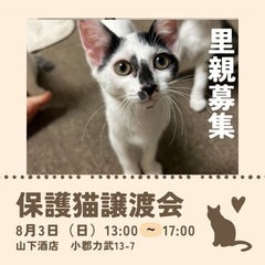 遊んで欲しい✨幸せ鍵しっぽ女子
