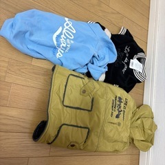 犬 洋服の画像