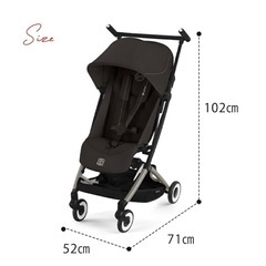 ⭐️新品未使用⭐️サイベックス リベル 2025モデルの画像