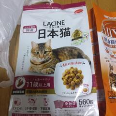 10才以上の猫ちゃんにカリカリご飯2種類の画像