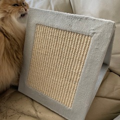 猫用おもちゃ　折りたたみ可の画像