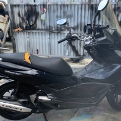 pcx56の画像