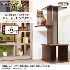 キャットタワーの画像