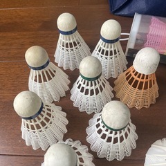 バドミントン シャトルの画像