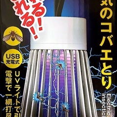 電気のコバエ取りの画像
