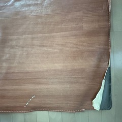 ホットカーペットの画像