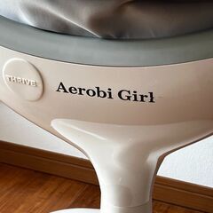 Aerobi Girl 乗馬マシン グレー ホワイト(取りにこれる方のみ）の画像