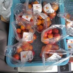 ミニマンゴー　約1kg入りの画像