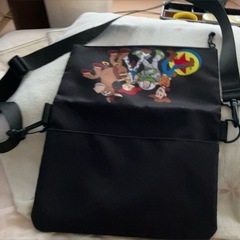 ディズニーランドで購入したショルダーバッグの画像