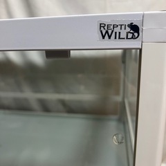 爬虫類　パンテオン ホワイト WH6030の画像