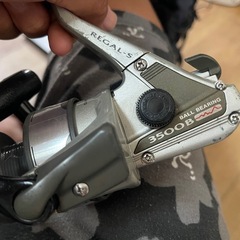 ダイワリールの画像
