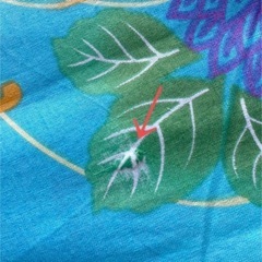 【ライトブルー × 菊 桔梗】浴衣 レディースの画像