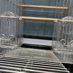 インコ　ホーエイ 35手のり　　中古の画像