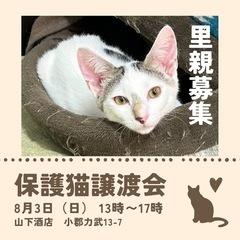 ゴロスリ男子のかつらくん🐾☘️