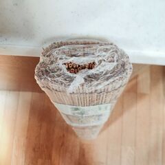 天津すだれの画像