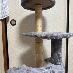 キャットタワー4段
の画像