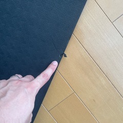 【ゼロ円】ストレッチマット　1人用の画像