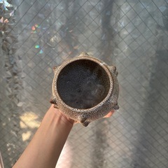 (交渉中)　観葉植物　鉢　ユニークの画像