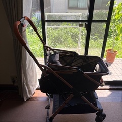 小型犬　バギー　ペットカートの画像