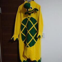 全身タイツ　カッパの画像