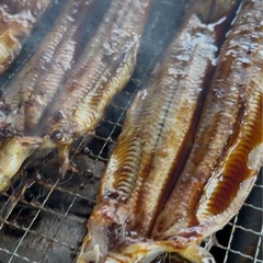 天然うなぎ1匹1000円　BBQなどにもの画像