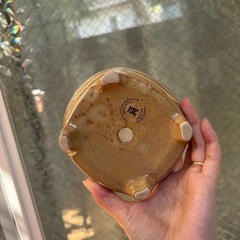 観葉植物用　鉢 の画像