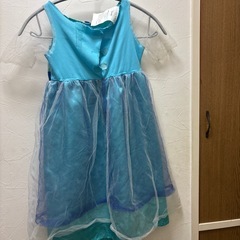 アナと雪の女王　エルサドレスの画像