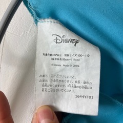 アナと雪の女王　エルサドレスの画像