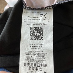160スポーツシャツの画像