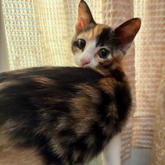 そっくり兄妹⭐︎ファンタちゃん